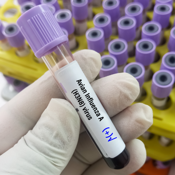 Avian Flu Vaccine