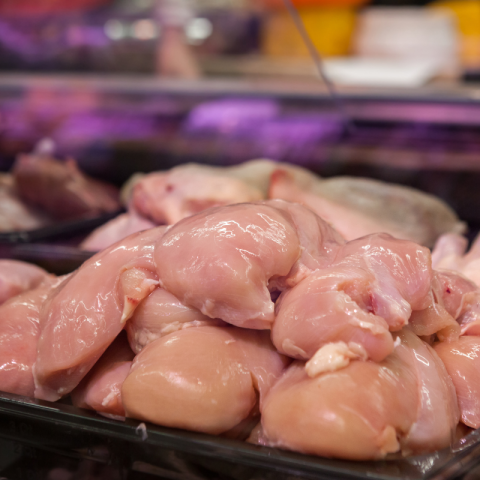 US poultry export ban to Colombia lifted damaco group newsletter july 2023
