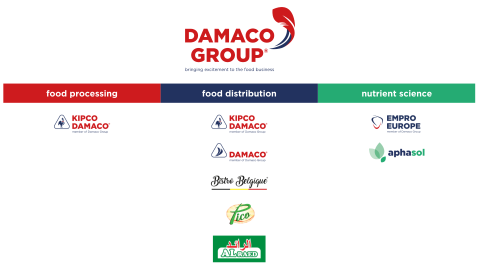 damaco group stucture