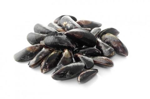 Frozen Mussels Whole, Half Shell or Meat A Grade Various Brands