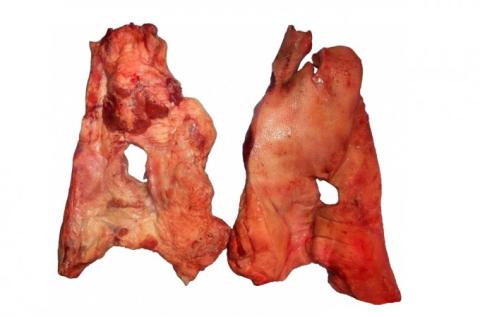 Frozen Pork Masks With or Without Rind With or Without Snout A Grade Various Brands