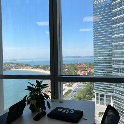 new office qingdao - view